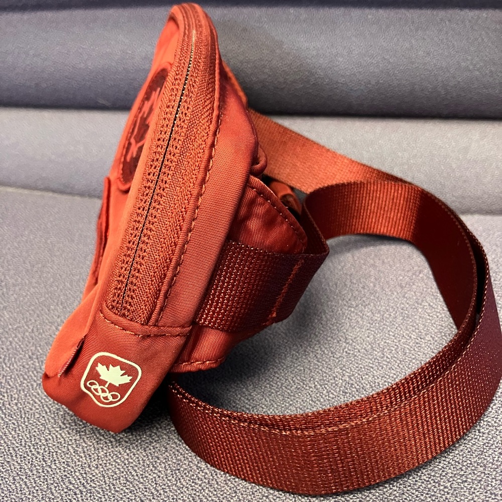 Belt Bag Mini - Picture 5 of 5